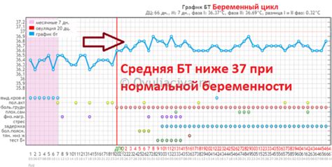 Диета как метод определения задержки желчи