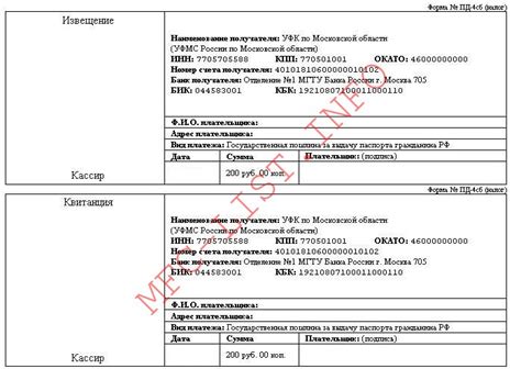 Документы для получения первичного паспорта