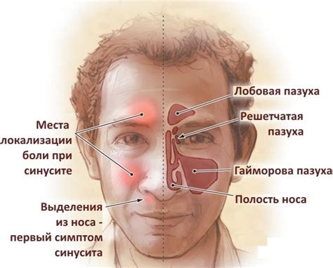 Дышите с помощью носовых полостей