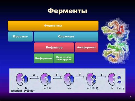 Живые организмы обладают метаболизмом