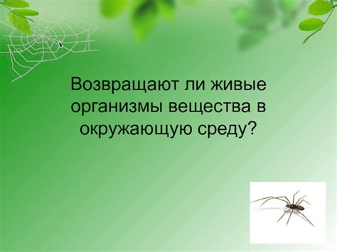 Живые организмы способны реагировать на окружающую среду