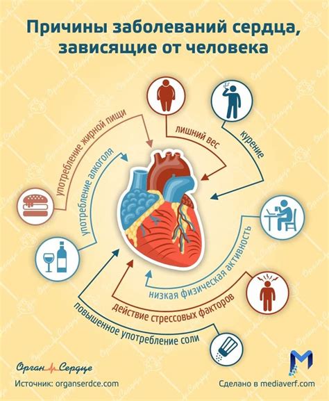 Заболевания сердечно-сосудистой системы и нервной системы