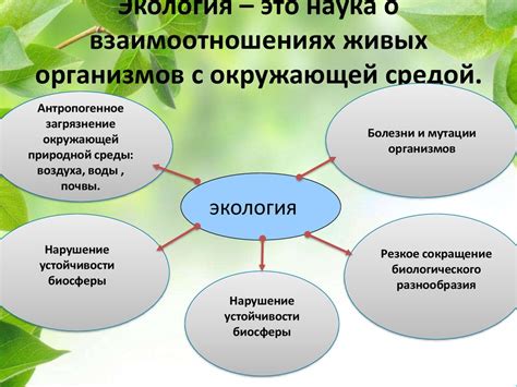 Забота о иве: ее роль в экологии и пейзажном дизайне