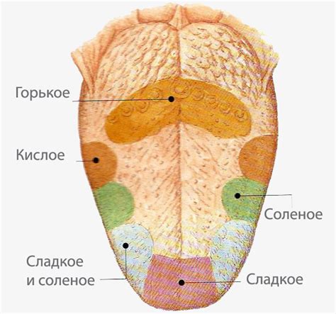 Занимайтесь тренировками для языка и обоняния