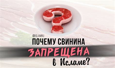 Запрещена ли свинина в исламе?