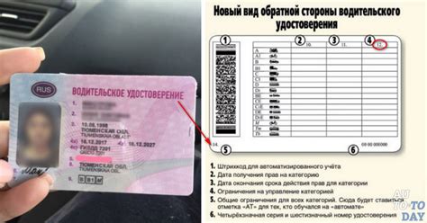 Защитные меры внутреннего кода В1 для предотвращения подделок водительского удостоверения нового образца