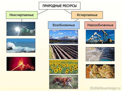 Земли как основной ресурс поселений