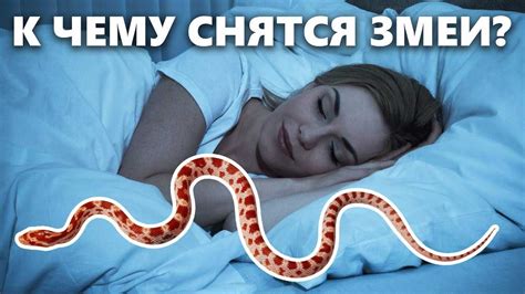 Значение данного образа во сне