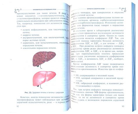 Значение медицинских показателей на бирке