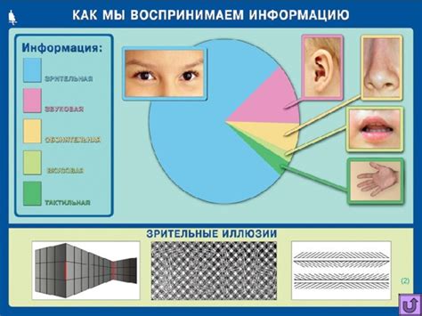 Значение осязания для восприятия окружающего мира