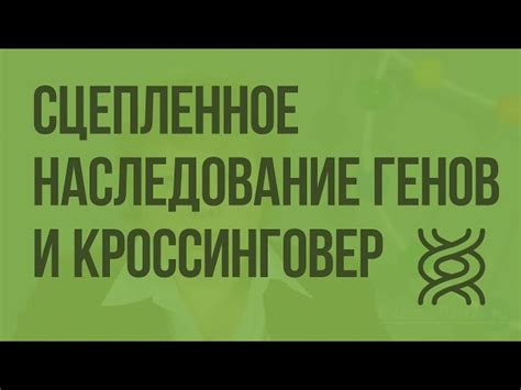 Значение полного и неполного: традиции и современность