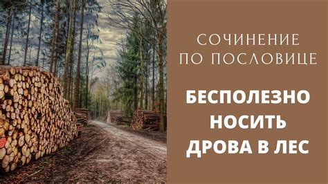 Значение пословицы "бесполезно носить дрова в лес"