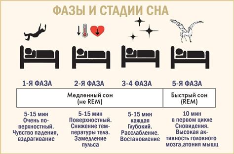 Значение сна: почему это важно?