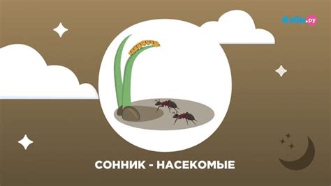 Значение снов о насекомых