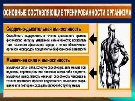 Значение L2 позвонка для двигательной активности