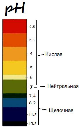 Значение pH кала и возможные отклонения