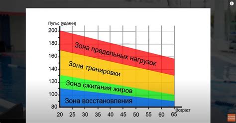 Зона пульса аэробная и анаэробная: