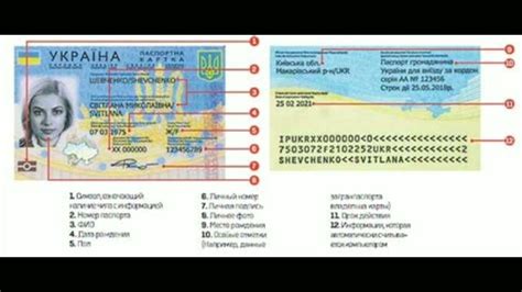 Идентификационный номер паспорта в ВТБ: все, что вам нужно знать