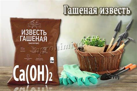 Известь для огорода: альтернатива или лучший выбор?