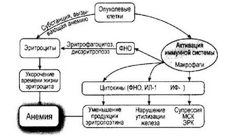 Изменение обменных процессов