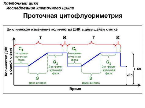 Изменения в хлебопечении со временем