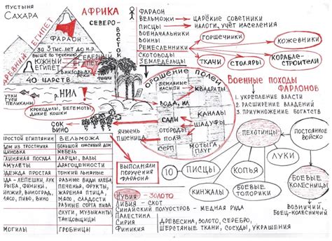 Изучение истории как ключ к пониманию современности