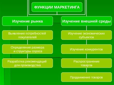 Изучение экономических процессов и маркетинга