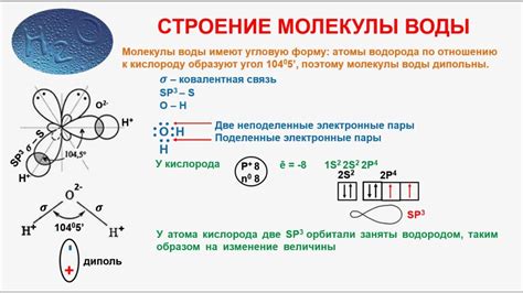 Использование массы молекулы воды в экологии