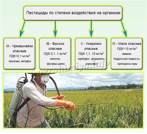 Использование пестицидов и гербицидов в пшеницеводстве