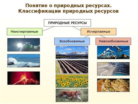 Использование природных абсорбентов запаха