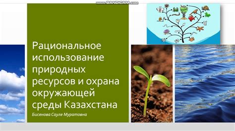 Использование природных средств