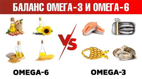 Источники омега-3 и омега-6 для здоровой шерсти