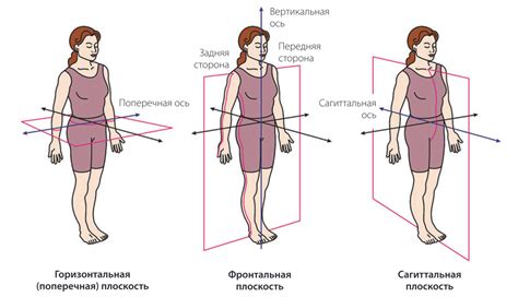 Какие бывают оси