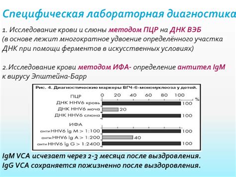 Какие диагностические методы используются вместе с Вэб IGM VCA?