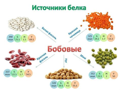 Какие продукты предпочитали обладатели благородного происхождения?