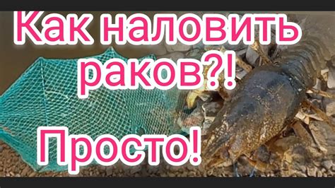 Какие символы могут быть связаны с видением ловли раков?