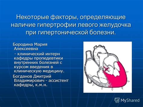 Какие факторы могут приводить к гипертрофии левого желудочка?