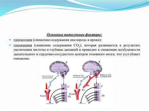 Какие факторы способствуют снижению содержания кислорода в крови