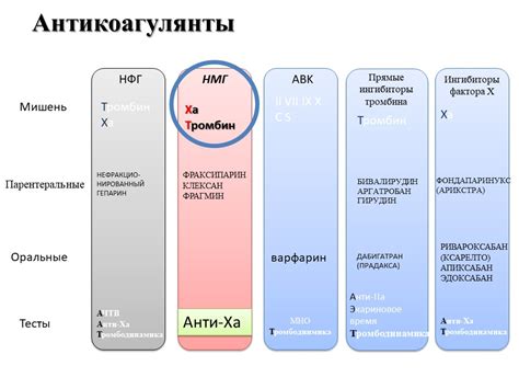 Какова роль антикоагулянтной терапии в лечении женщин?