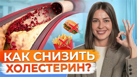 Какую роль играет Лидаза в организме?