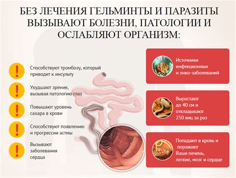 Какую схему лечения выбрать для полного уничтожения глистов?