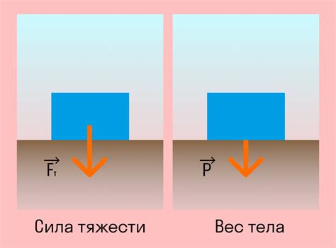 Как вес тела и сила тяжести связаны друг с другом?