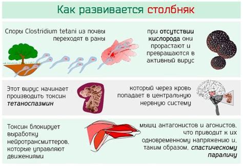 Как возникает столбняк?