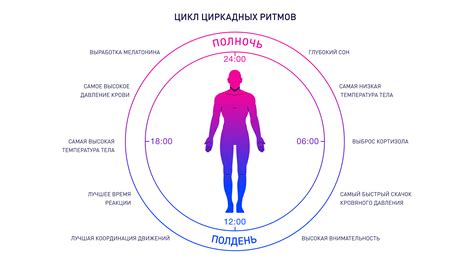 Как восстановить психологическую гармонию после сна о неправильном выборе поезда