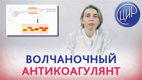 Как действует волчаночный антикоагулянт?