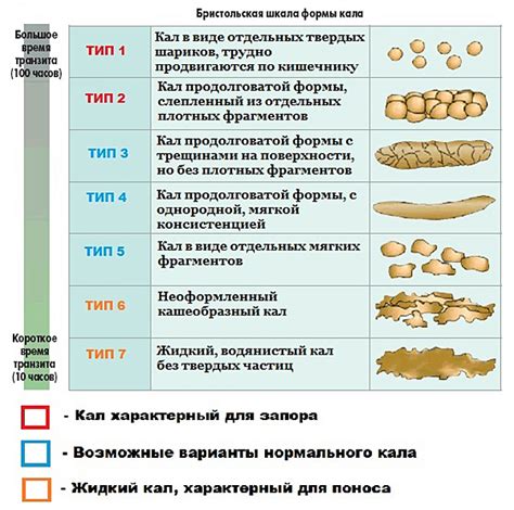 Как диагностировать жидкий стул у взрослого