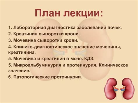 Как значение креатинина связано с функцией почек?