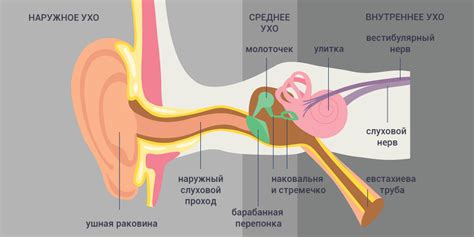 Как избавиться от горящего правого уха