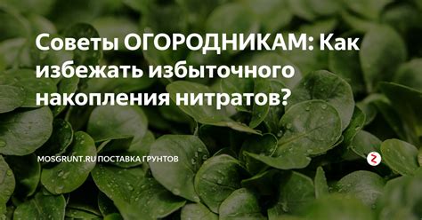 Как избежать избыточного потребления