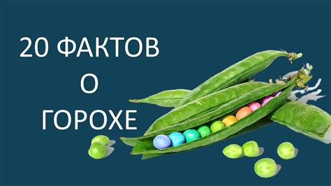 Как использовать сон о зеленом горохе для личного развития